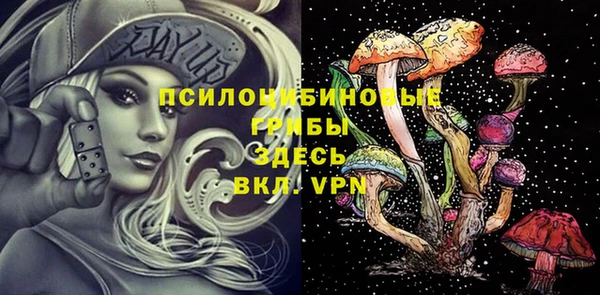 mix Горнозаводск