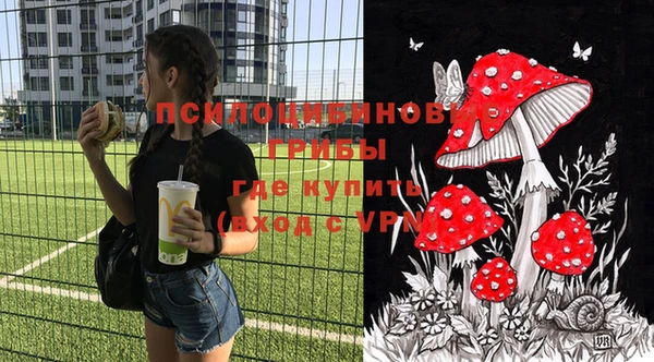 mix Горнозаводск