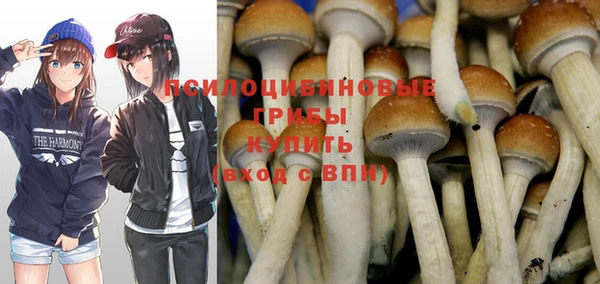 герыч Горняк