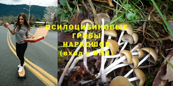 mix Горнозаводск