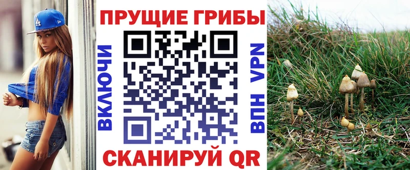 Псилоцибиновые грибы MAGIC MUSHROOMS  где продают   Городец 