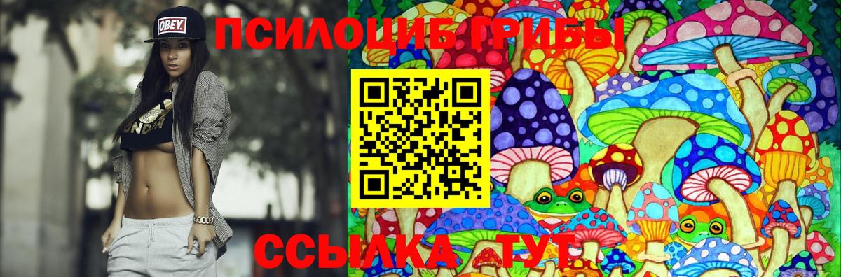 Псилоцибиновые грибы прущие грибы Городец